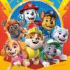RAVENSBURGER ΠΑΖΛ 3x49ΤΜΧ PAW PATROL (050482)