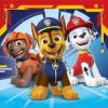 RAVENSBURGER ΠΑΖΛ 3x49ΤΜΧ PAW PATROL (050482)
